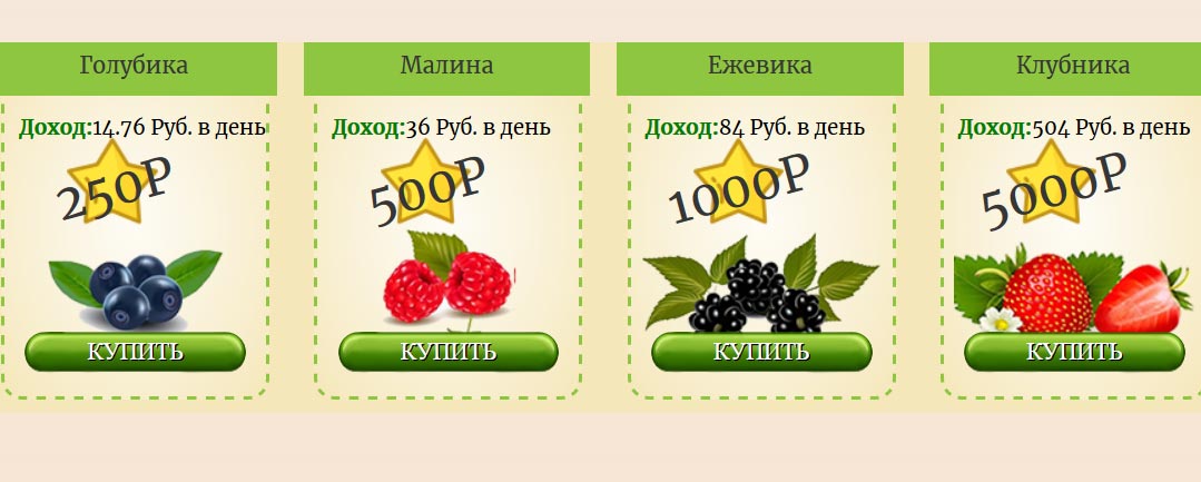yagodnaya-ferma2